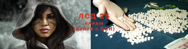 стафф Карпинск