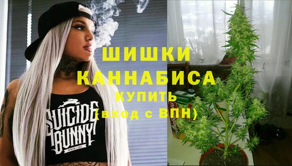 тгк Касимов