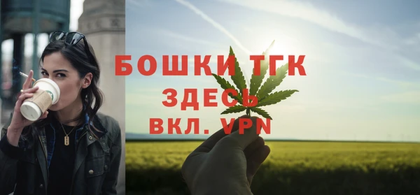 стафф Карпинск