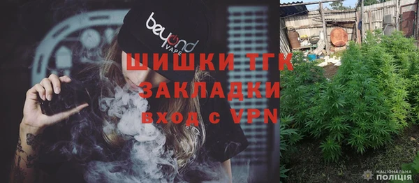 тгк Касимов