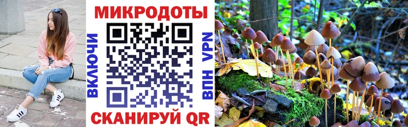 Галлюциногенные грибы мицелий  Купить закладки  Лыткарино 